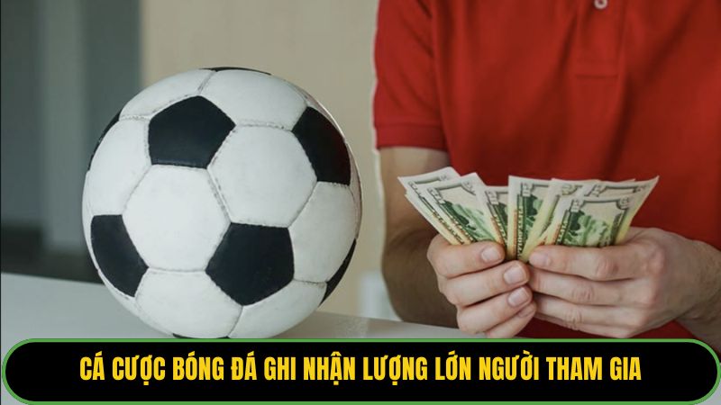 Cá cược bóng đá ghi nhận lượng lớn người tham gia