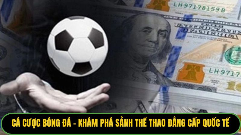 Cá Cược Bóng Đá