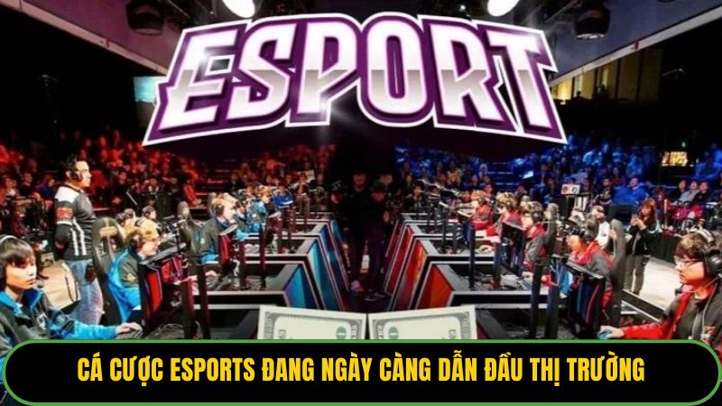 Cá cược Esports đang ngày càng dẫn đầu thị trường