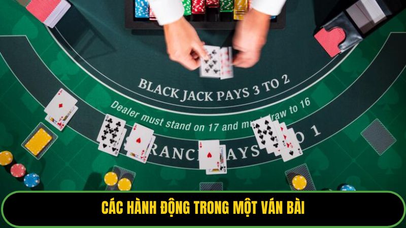 Các hành động trong một ván bài