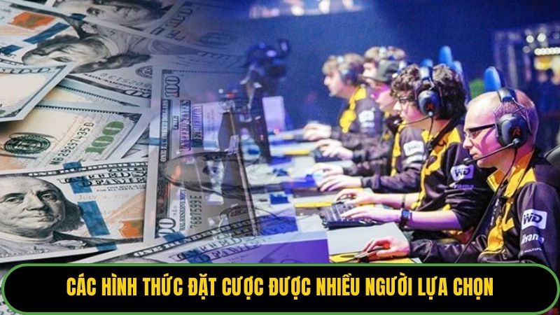 Các hình thức đặt cược được nhiều người lựa chọn