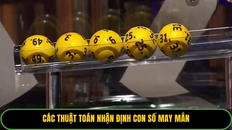 Các thuật toán nhận định con số may mắn