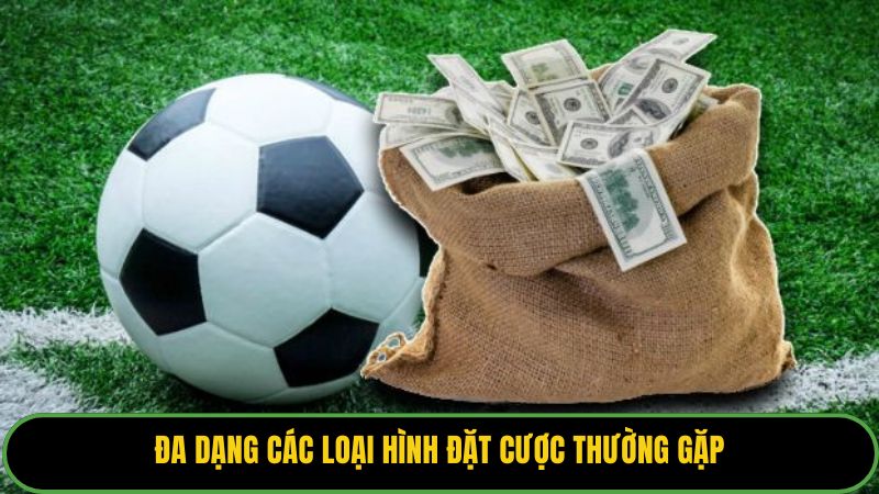 Đa dạng các loại hình đặt cược thường gặp