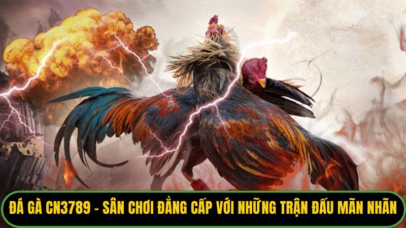Đá Gà