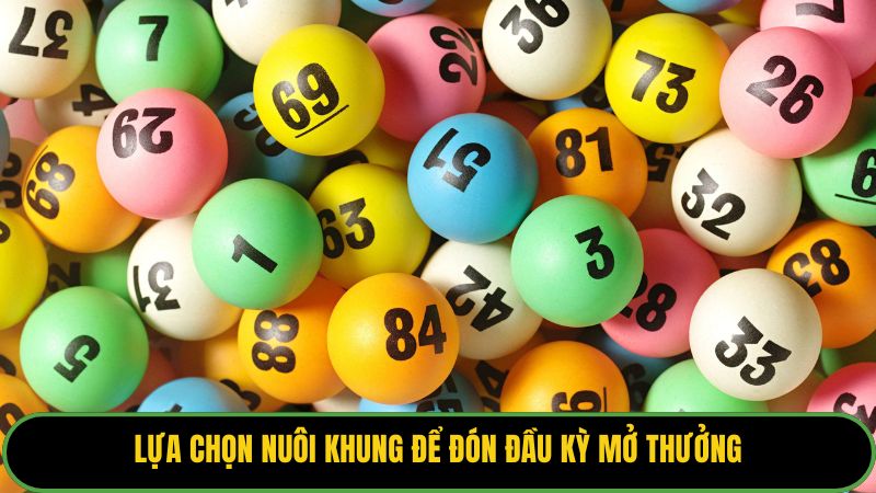 Lựa chọn nuôi khung để đón đầu kỳ mở thưởng