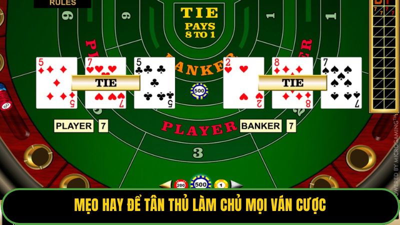 Mẹo hay để tân thủ làm chủ mọi ván cược