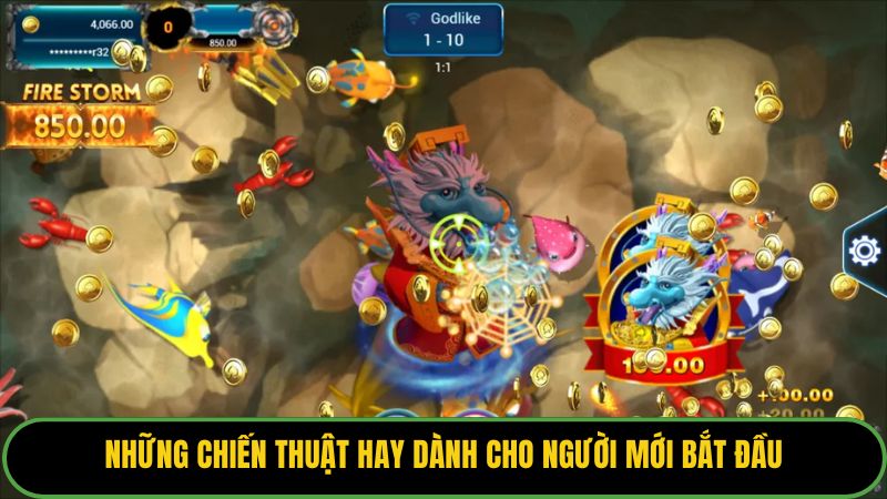 Những chiến thuật hay dành cho người mới bắt đầu